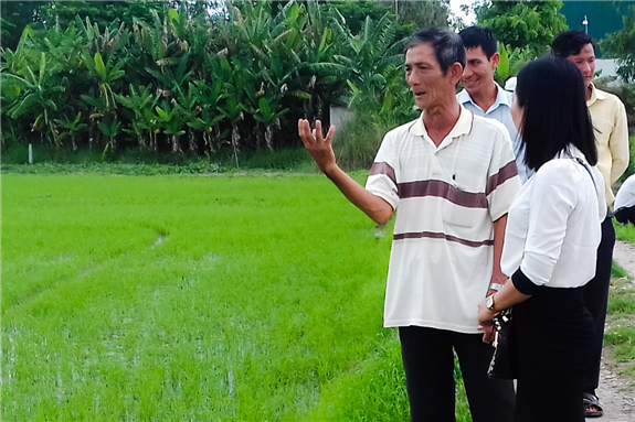 Hình: Khảo sát mô hình sản xuất lúa giảm phát thải khí nhà kính huyện Phú Tân