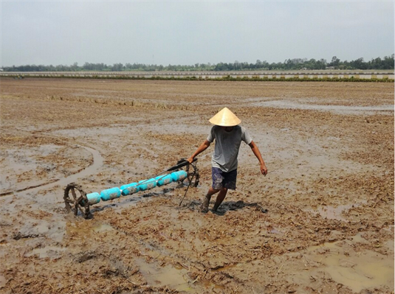 Ảnh: Ông Nguyễn Văn Năm đang gieo sạ lúa vụ đông xuân 2018 - 2019 bằng dụng cụ sạ hàng