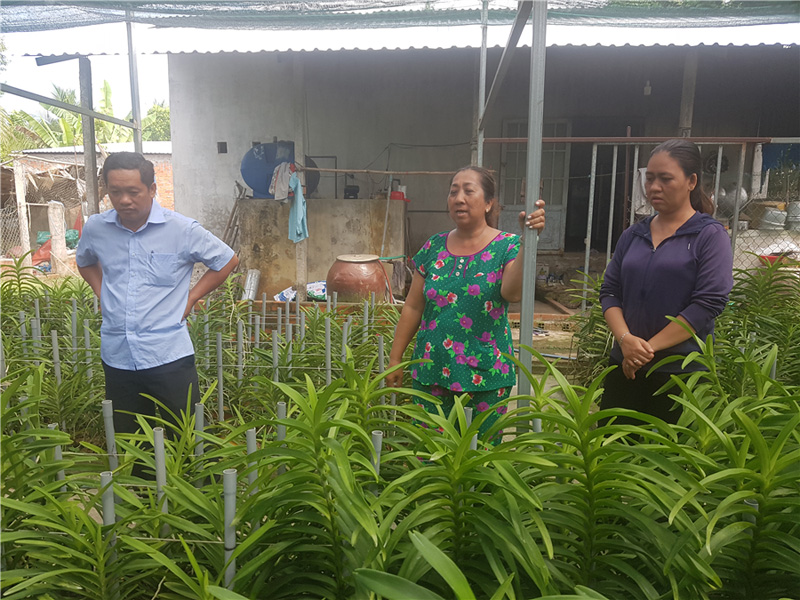 Ảnh. Lãnh đạo phòng Nông nghiệp huyện Châu Thành thăm mô hình lan Mokara