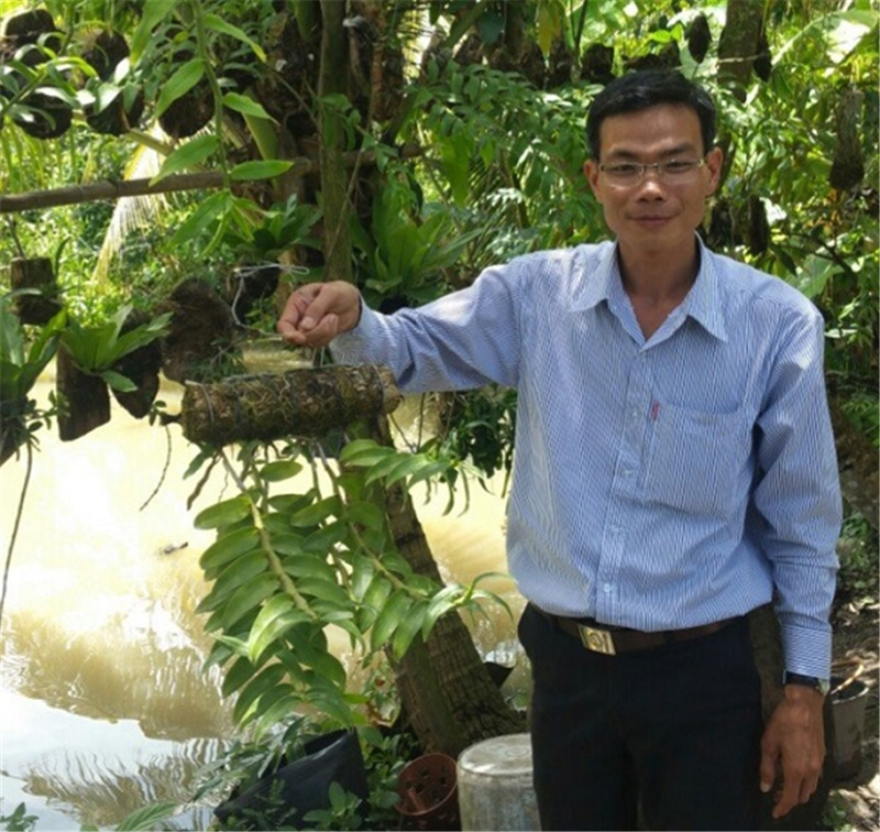 Ảnh: Mô hình trồng Lan rừng của hộ ông Đồng Thanh Văn