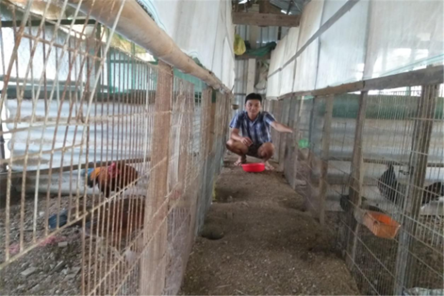 Trại gà thịt của anh Trần Thanh Liêm, ấp 8 xã Lương Nghĩa