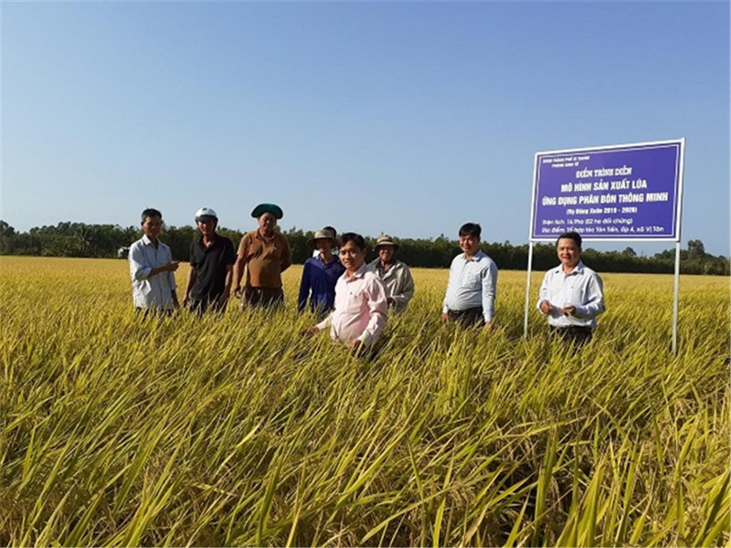 Ông Nguyễn Bé Sáu - phó phòng Kinh Tế thành phố Vị Thanh cùng nông dân thăm mô hình