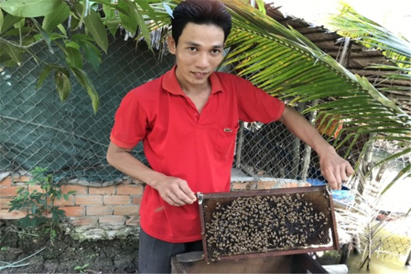 Mô hình nuôi ong lấy mật của anh Trần Văn Niềm