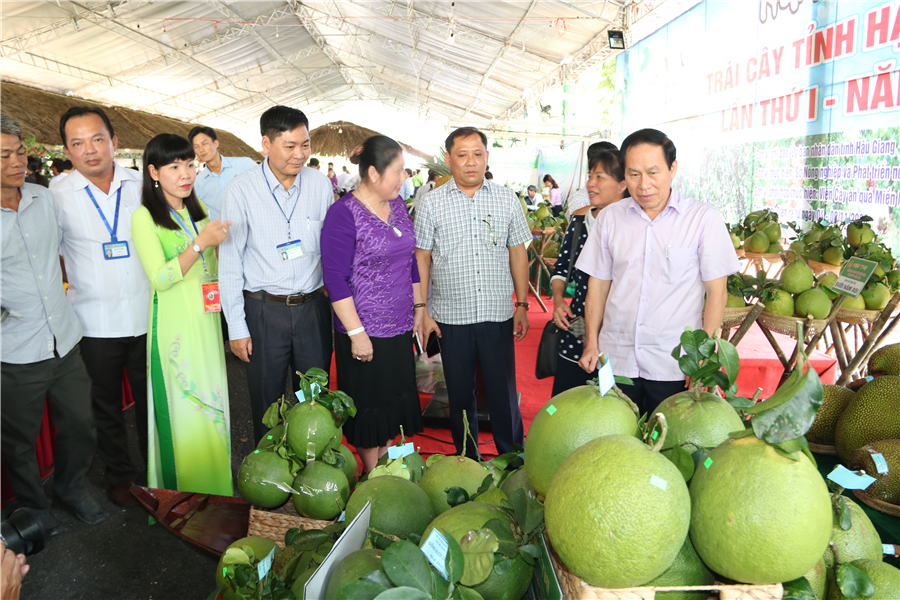 Ảnh. Ông Lê Tiến Châu - Bí thư, Chủ tịch UBND tỉnh Hậu Giang tham quan các trái cây dự thi