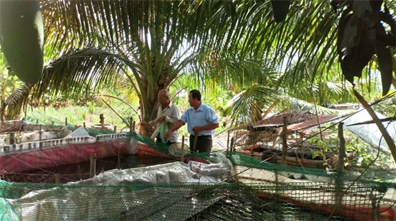 Ảnh: Ông Tống Bửu Sơn - Hướng dẫn kỹ thuật sản xuất lươn giống