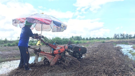 Anh Nguyễn Văn Hải chủ máy xới đang vận hành máy xới đất
