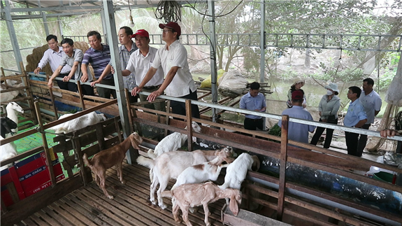 Đoàn Khuyến nông tỉnh Bình Thuận đến học tập kinh nghiệm tại xã Vĩnh Thuận Tây