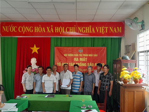 Ảnh: Các thành viên tổ ra mắt Tổ hợp tác trồng sầu riêng tại ấp Tân Hưng, TT Ngã Sáu, huyện Châu Thành